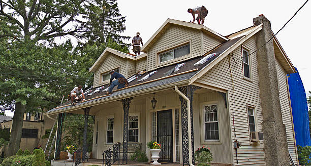 Best Roof Gutter Cleaning  in Santa Rosa, NM